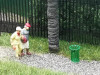 Poubelles de ville