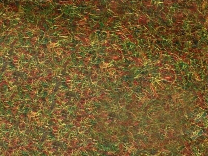 Flocage fibre herbes d'automne 2-3 mm