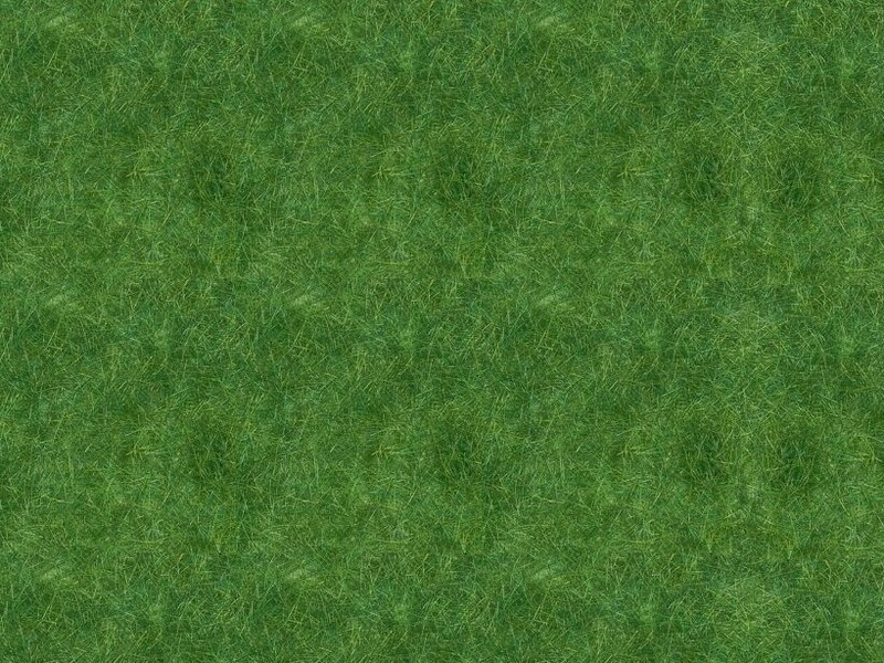 Herbage vert foncé 5-6 mm