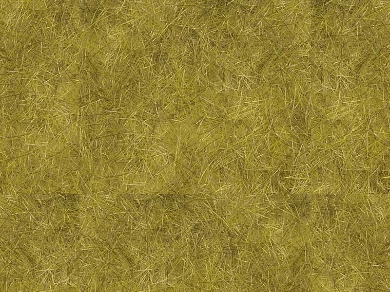 Fibre de 6 mm herbage champ de blé