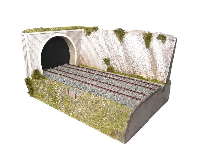 Entrée de tunnel avec soutènement - 2 voies