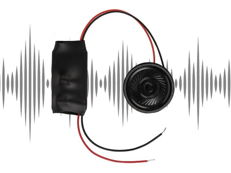 Kit Sonore : chants d'oiseaux