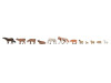 Set d'animaux - N 1/160 ème