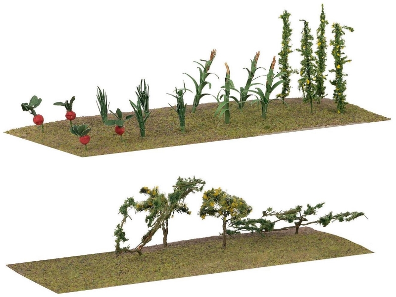 Jardin et verger