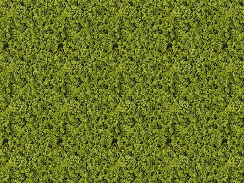 Foliage vert clair - 14 x 28 cm