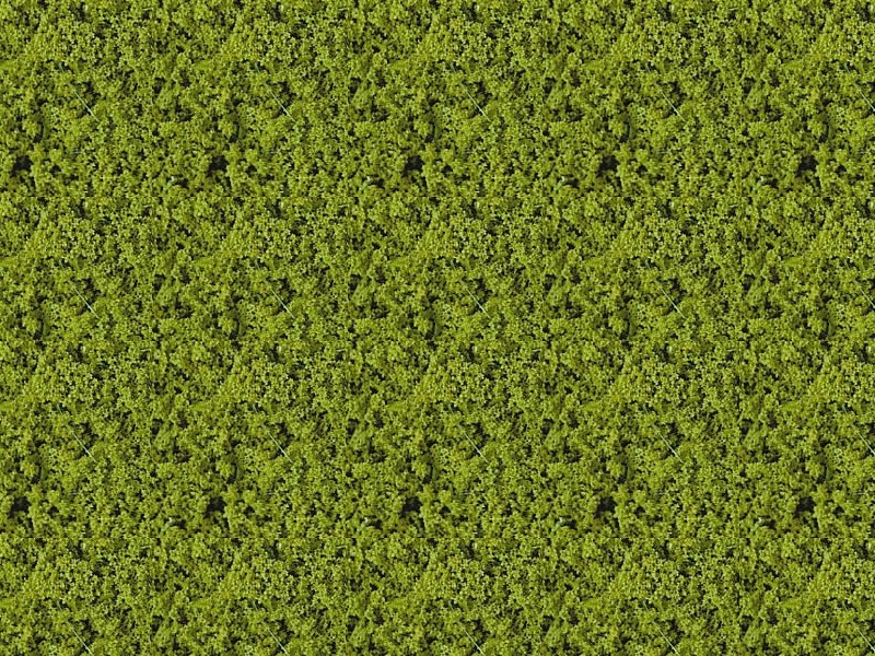 Foliage vert clair - 14 x 28 cm