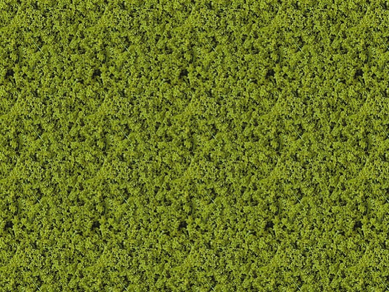 Foliage vert clair - 14 x 28 cm