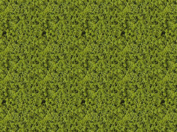 Foliage vert clair - 14 x 28 cm