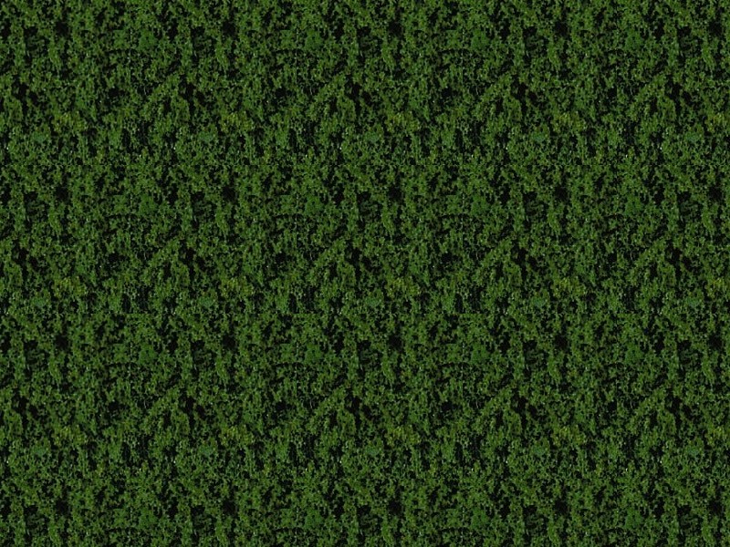 Foliage vert foncé - 14 x 28 cm