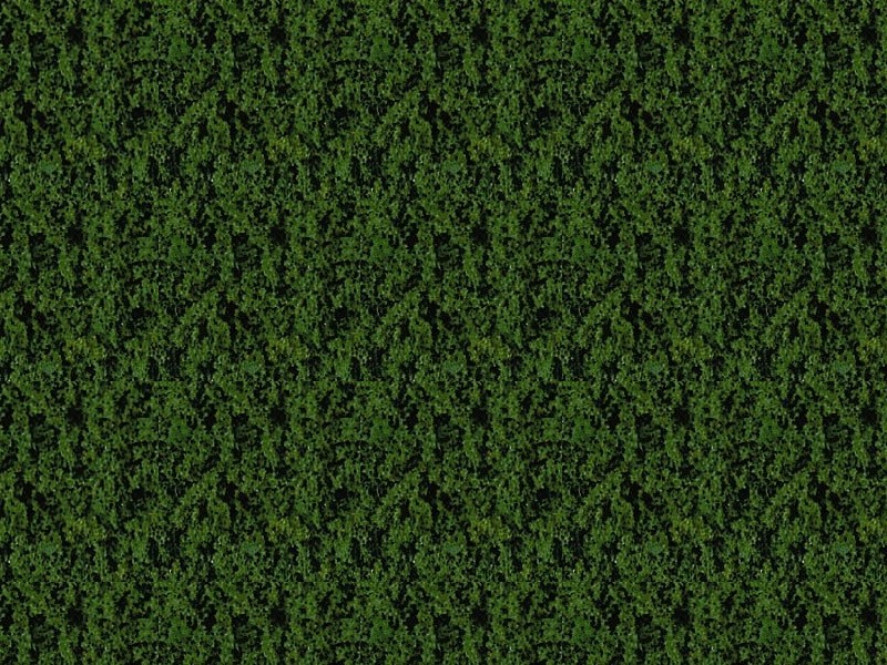 Foliage vert foncé - 14 x 28 cm