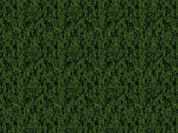 Foliage vert foncé - 14 x 28 cm