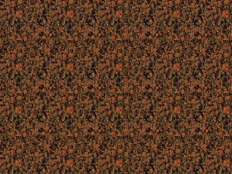 Foliage brun - 15 x 28 cm