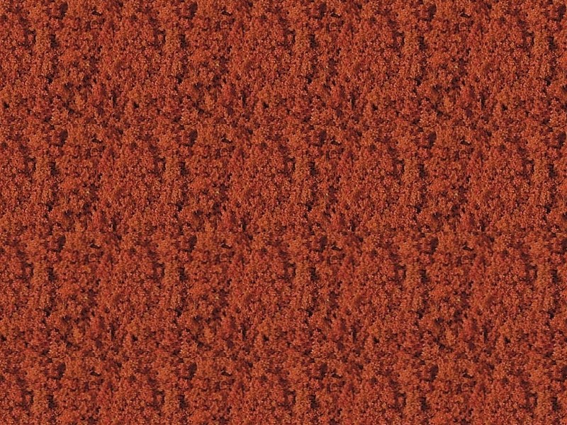 Foliage rouge - 15 x 28 cm