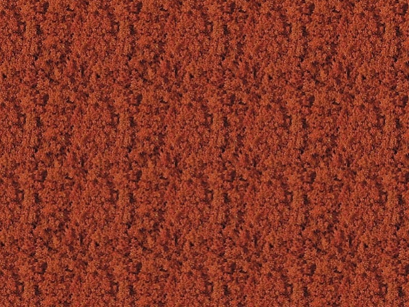 Foliage rouge - 15 x 28 cm