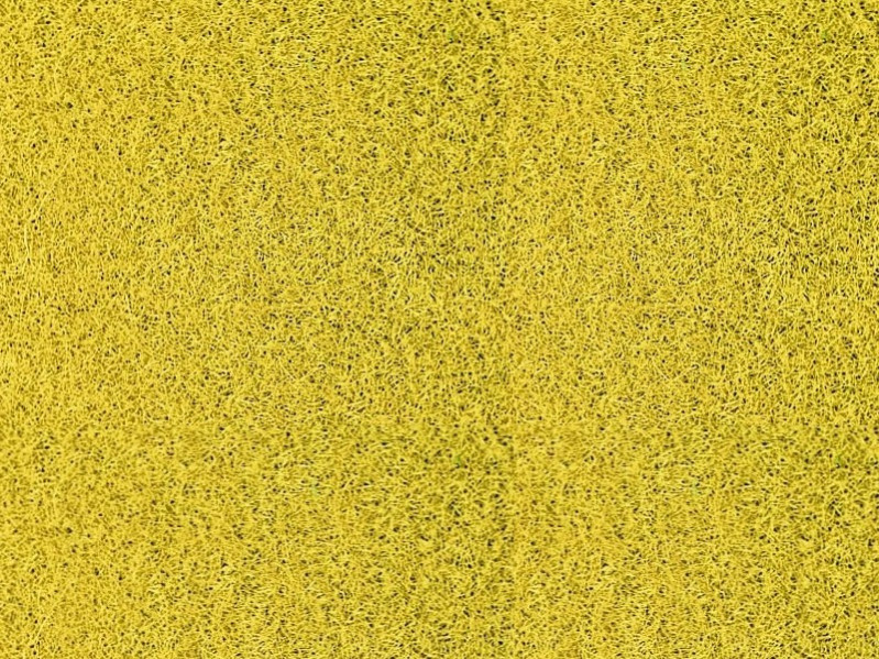 Fibres 2-3 mm jaune - 20 grammes