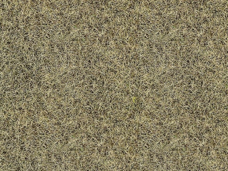 Fibres 2-3 mm herbe d'hiver - 20 grammes