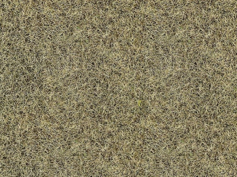 Fibres 2-3 mm herbe d'hiver - 100 grammes