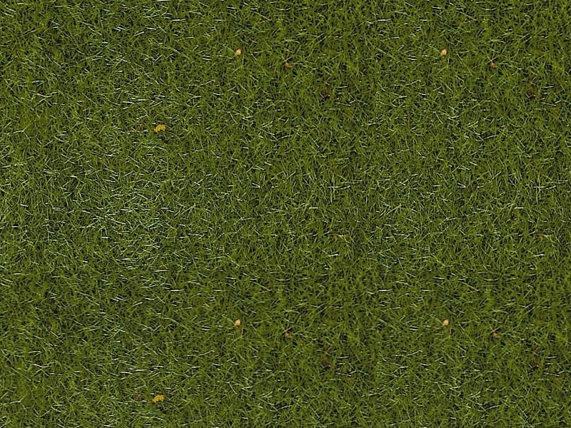 Fibres 2-3 mm vert gazon - 50 grammes