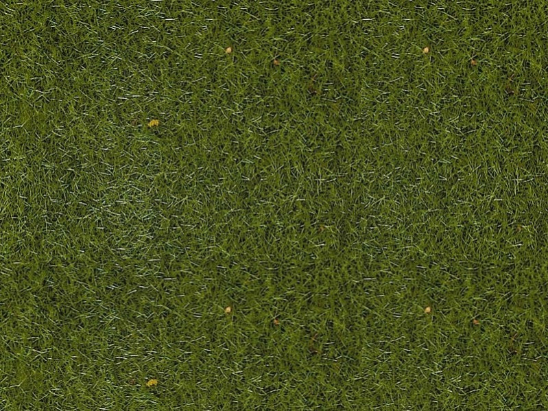 Fibres 2-3 mm vert gazon - 50 grammes