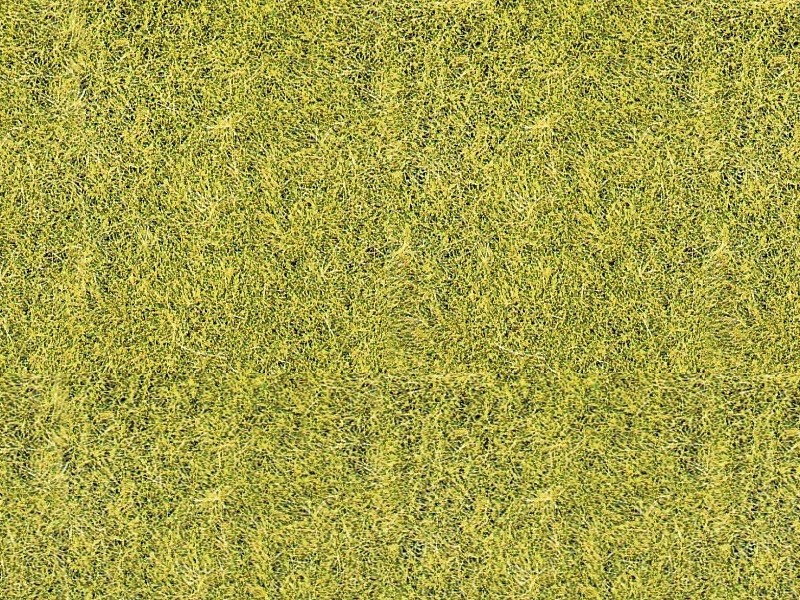 Fibres 5-6 mm vert prairie - 75 grammes