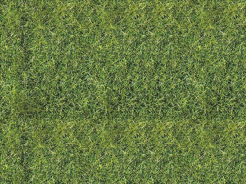 Fibres 10 mm vert d'été - 50 grammes