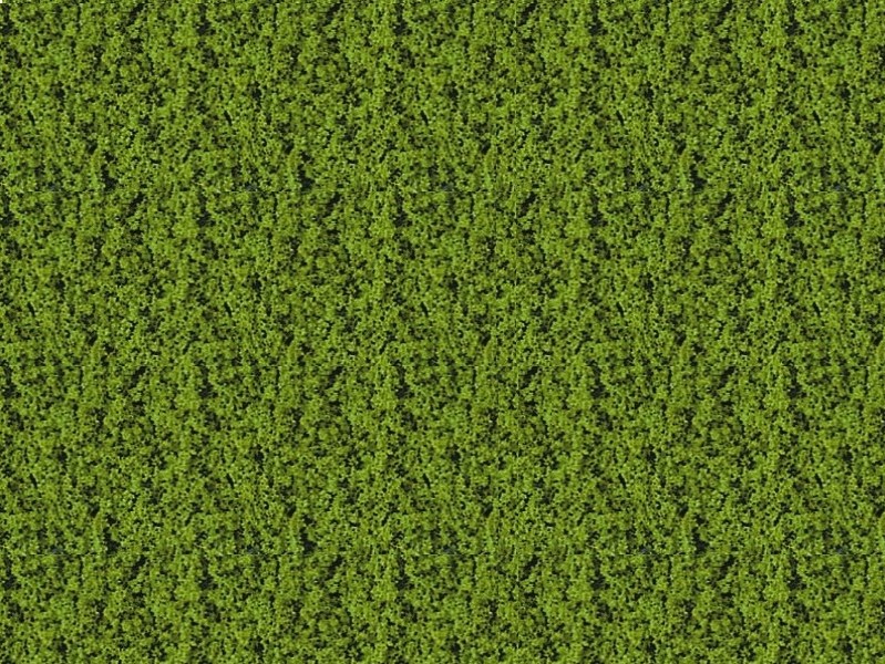 Foliage vert clair