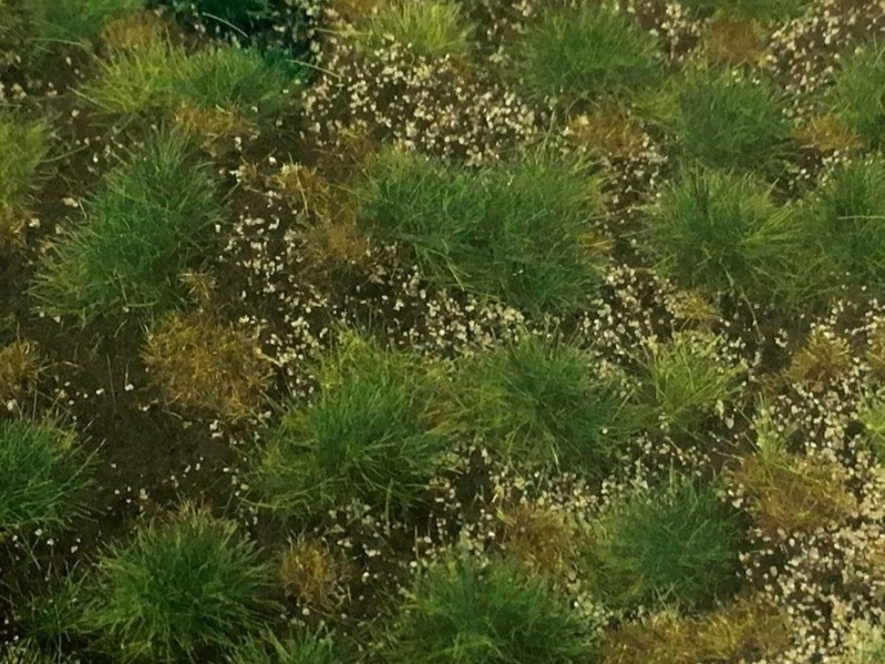 Tapis d'herbe de forêt 21 x 29 cm