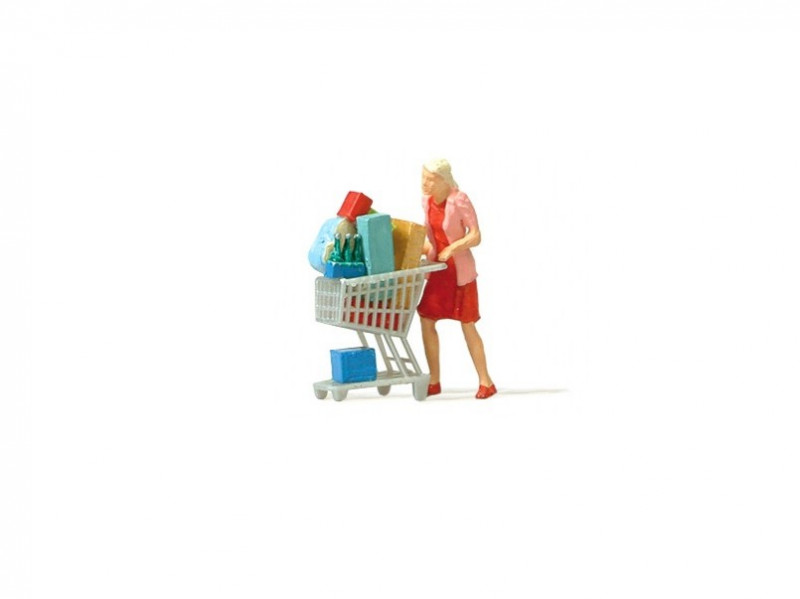 Personnage avec caddie chargé