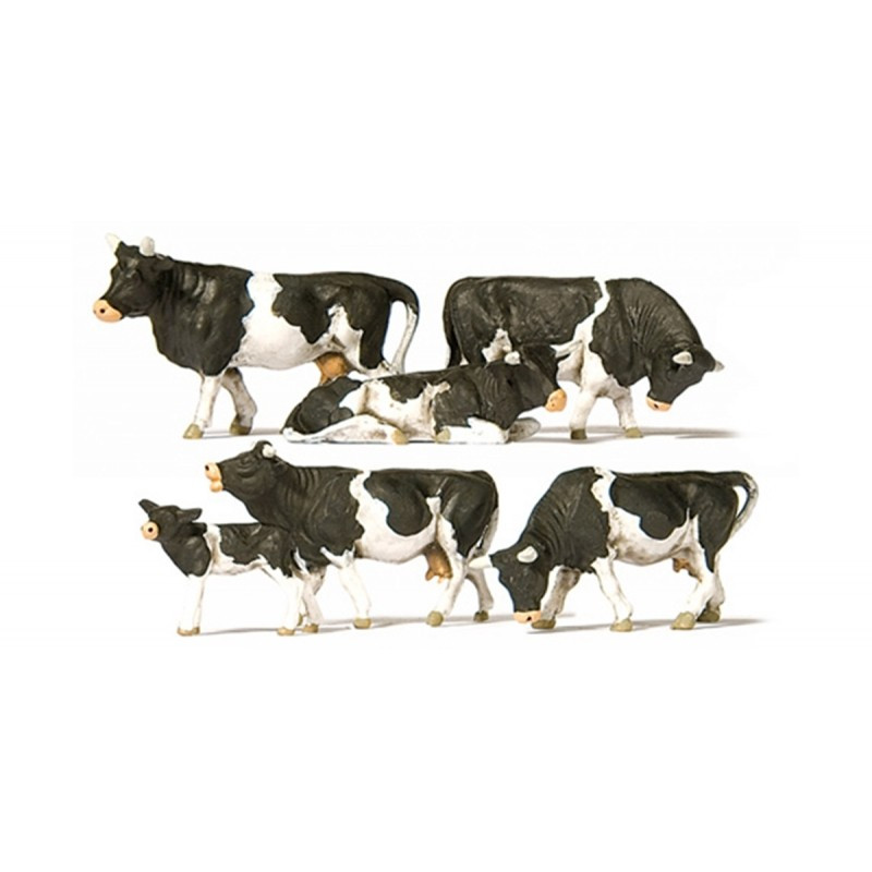 Six vaches noires et blanches