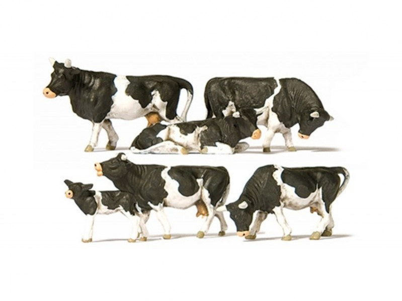 Six vaches noires et blanches