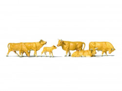 Six vaches beiges