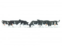 Vaches noires - N 1/160 ème