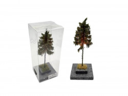 Arbres et sapins