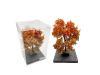 Érable en automne - O 1 : 43 ème