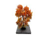 Érable en automne - O 1 : 43 ème