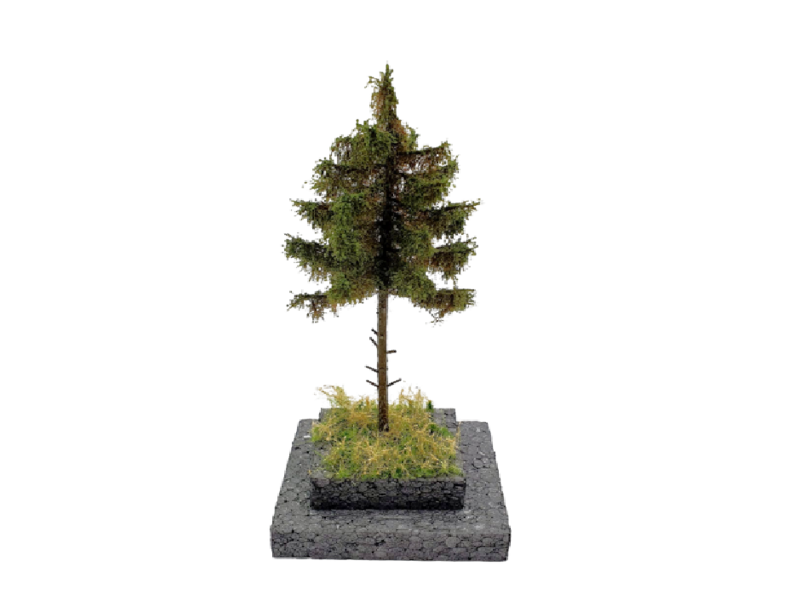Épicéa - HO 1 : 87 et N 1 : 160 ème