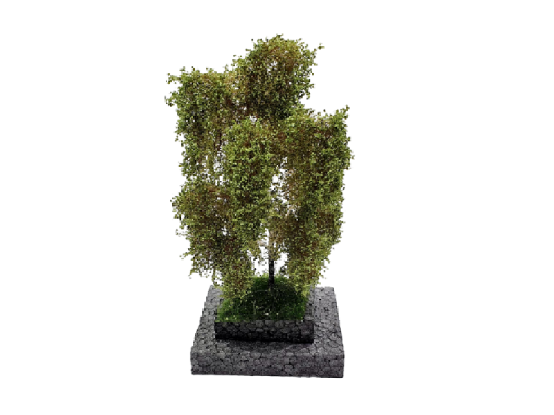 Bouleau - HO 1 : 87 et N 1 : 160 ème