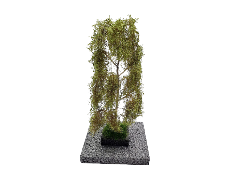 Bouleau - HO 1 : 87 et O 1 : 43 ème