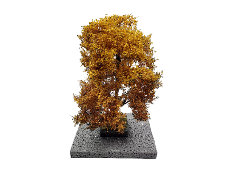 Chêne en automne - O 1 : 43 ème