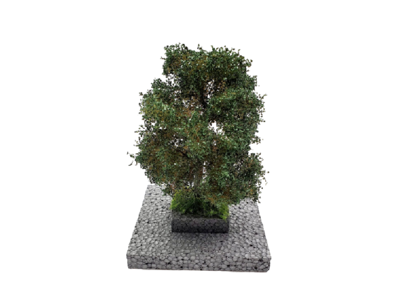 Chêne - HO 1 : 87 et N 1 : 160 ème