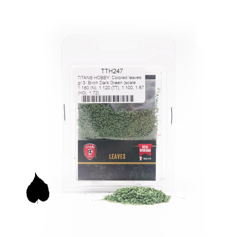 Feuilles de bouleau - vert foncé