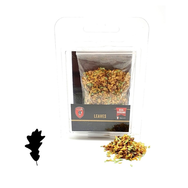 Feuilles de chêne - couleur d'automne - O 1/43 ème