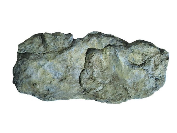 Moule pour très grande falaise